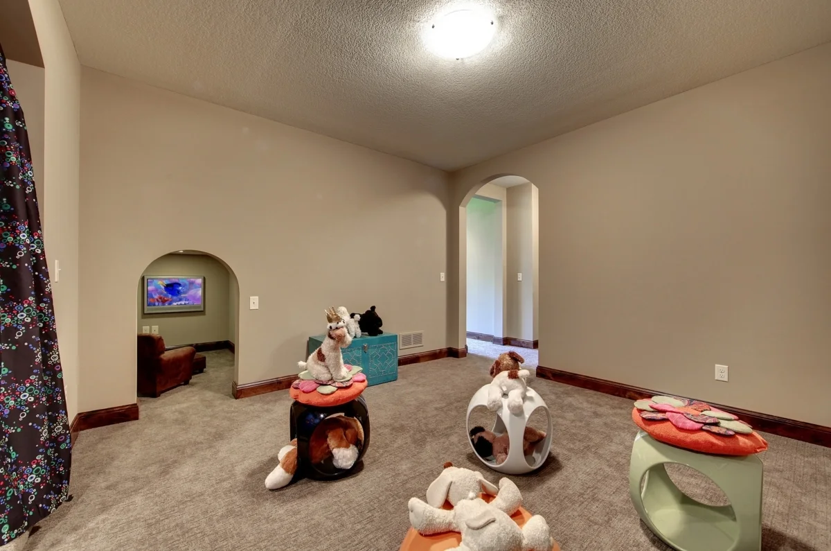 Playroom with mini space for entertainment.