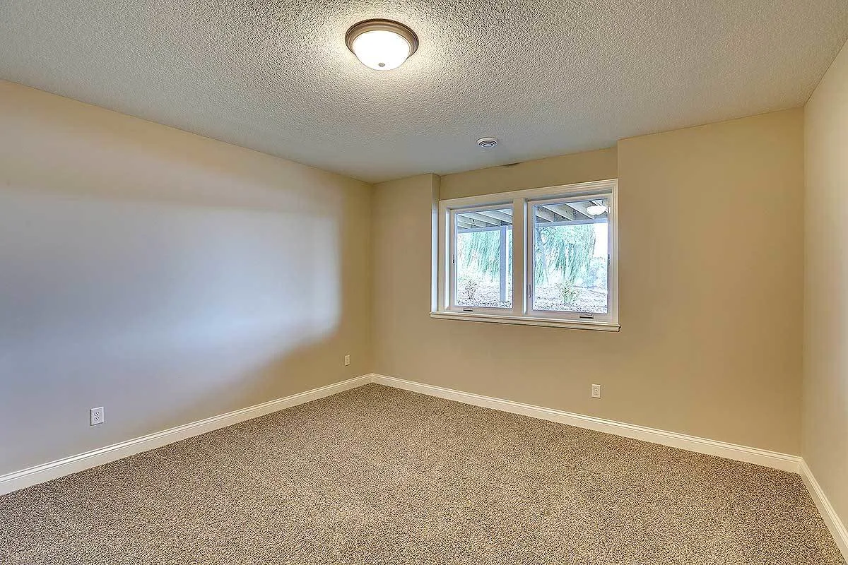 Lower level storage space with a carpeted floor and a small window.